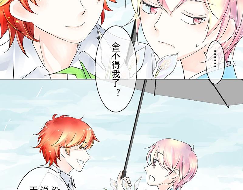 第四回 我没欺负他
