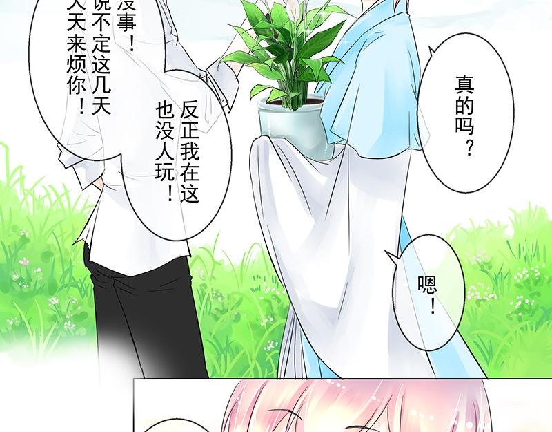 第四回 我没欺负他