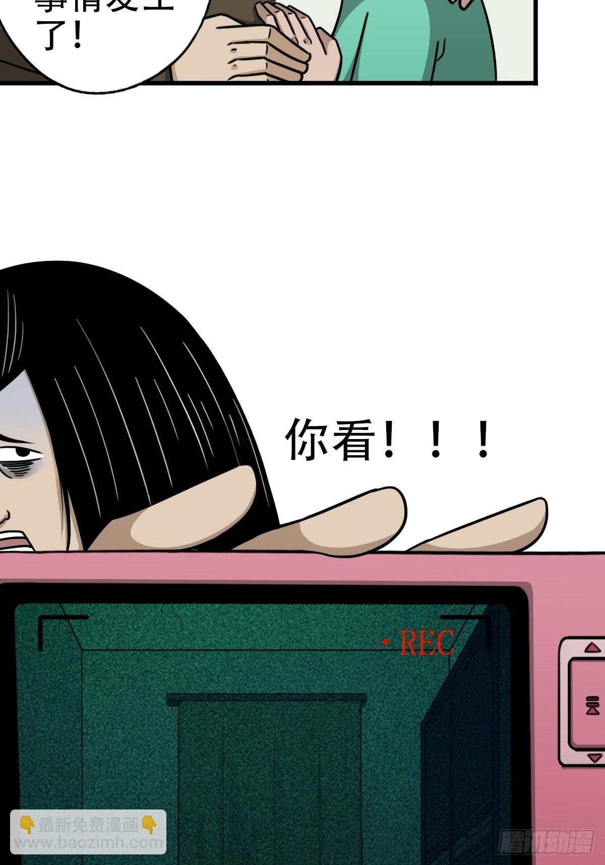 埋猫狗（下）