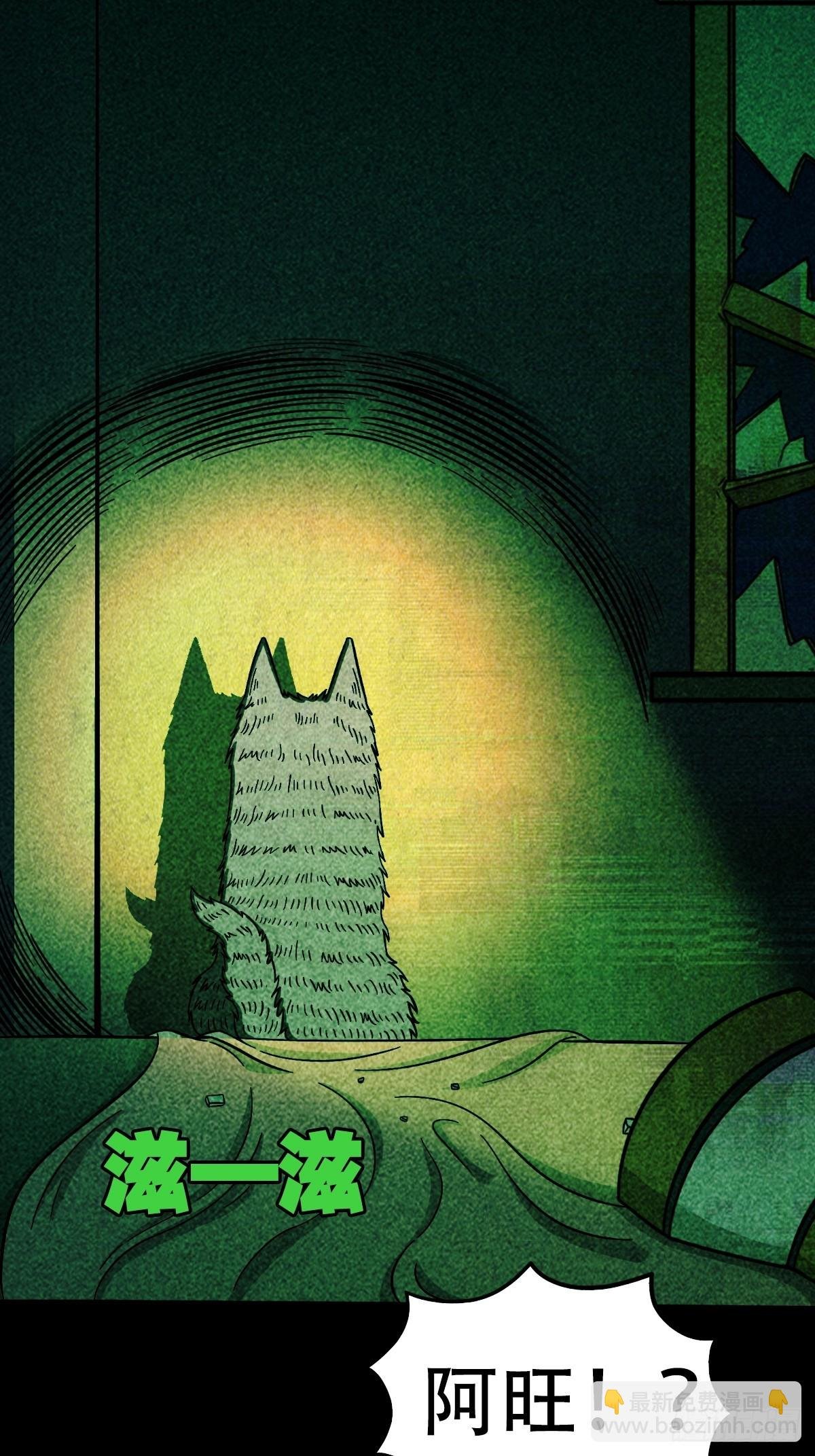 埋猫狗（下）