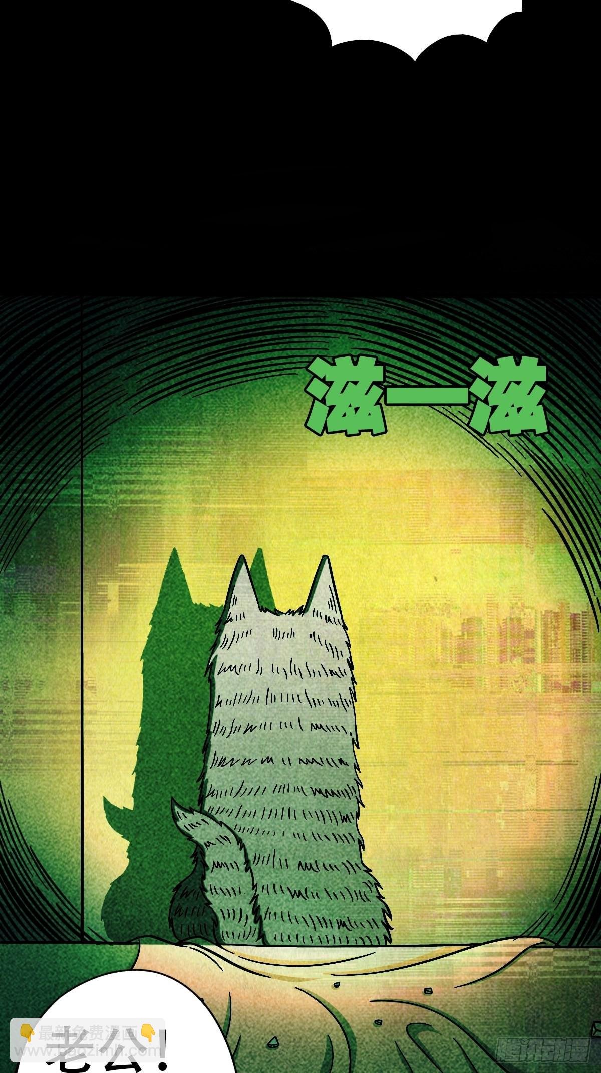 埋猫狗（下）