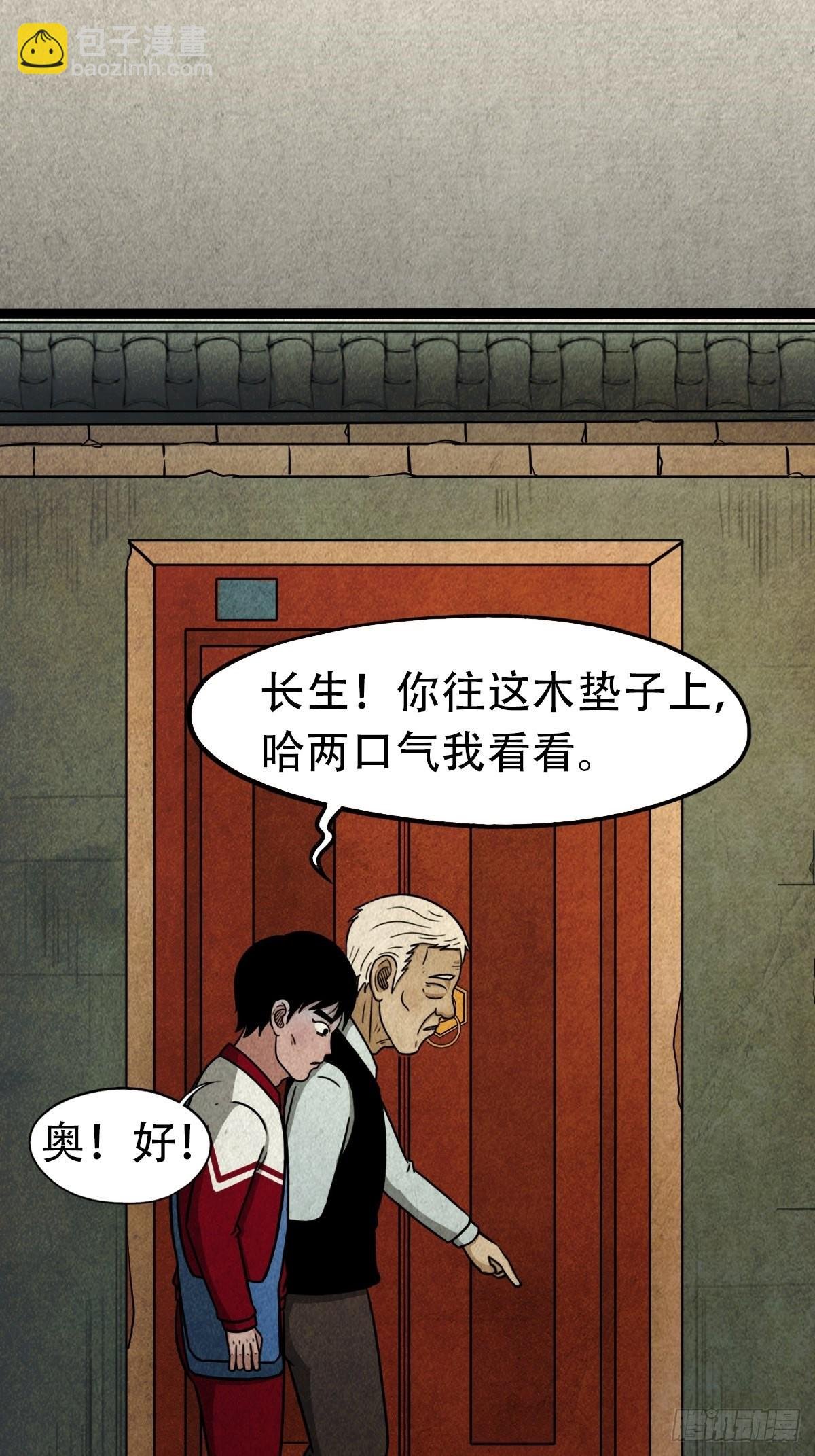 埋猫狗（下）