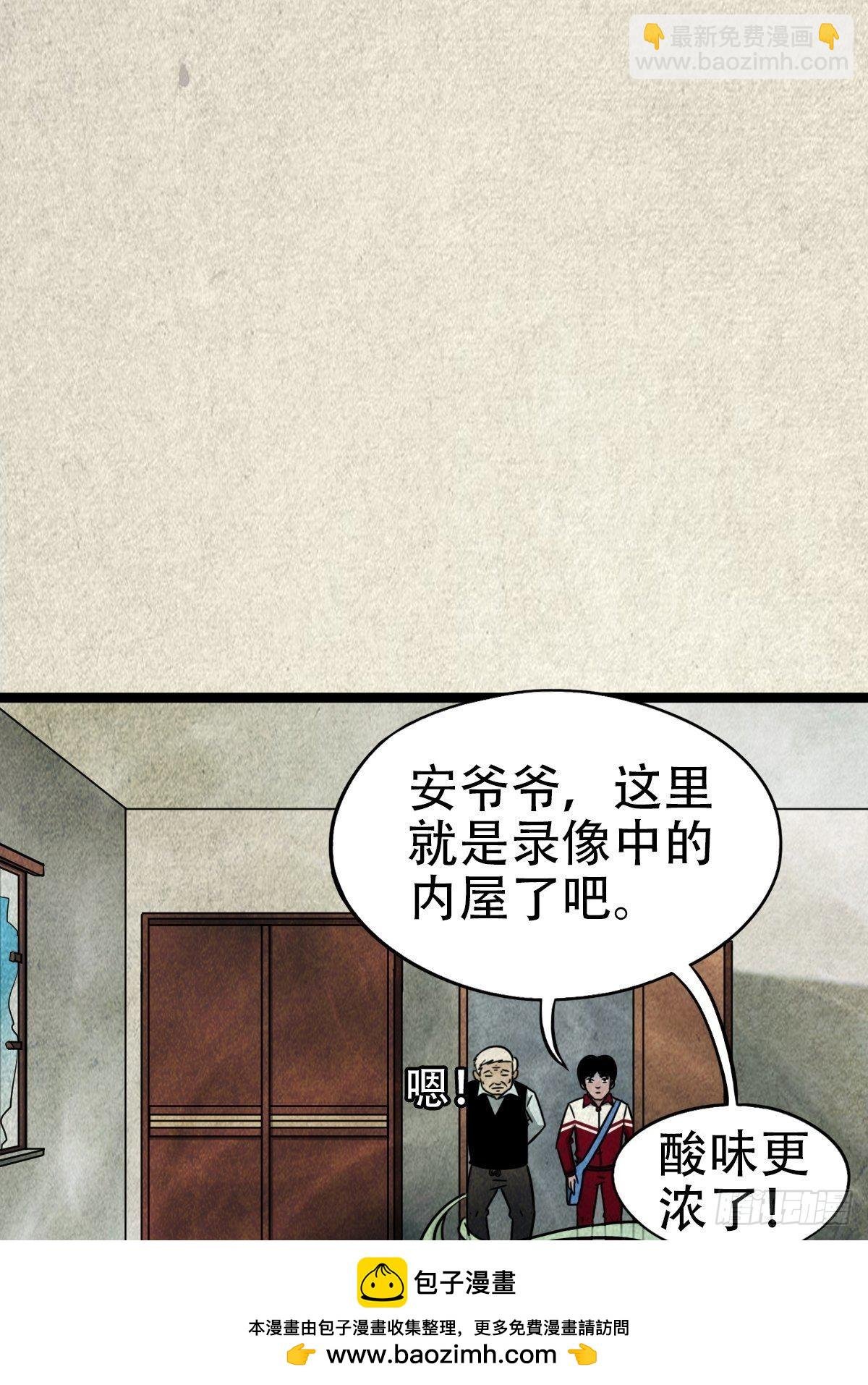 埋猫狗（下）