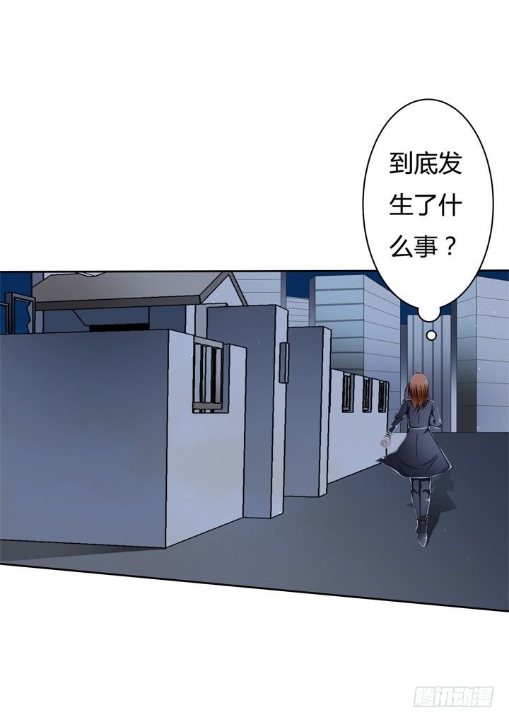 53话 蛇蝎的陷阱