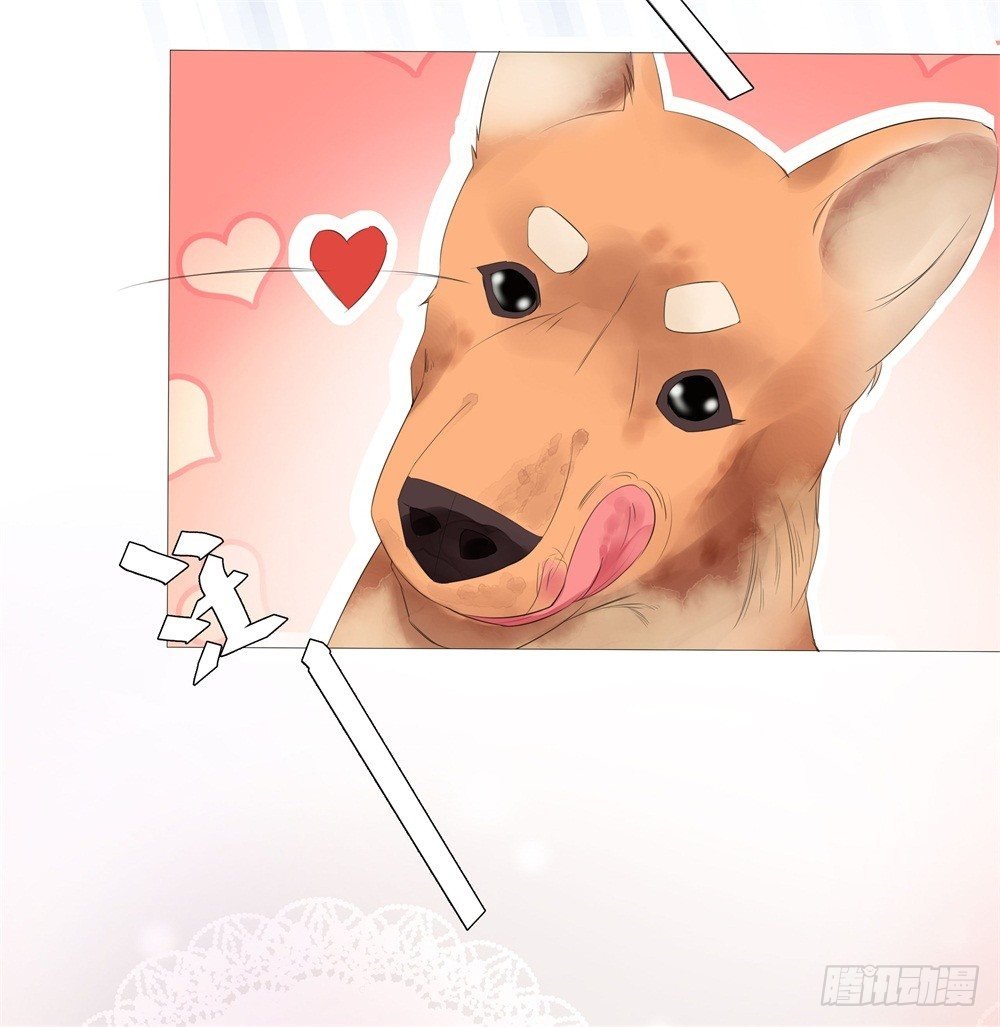 狭路相逢