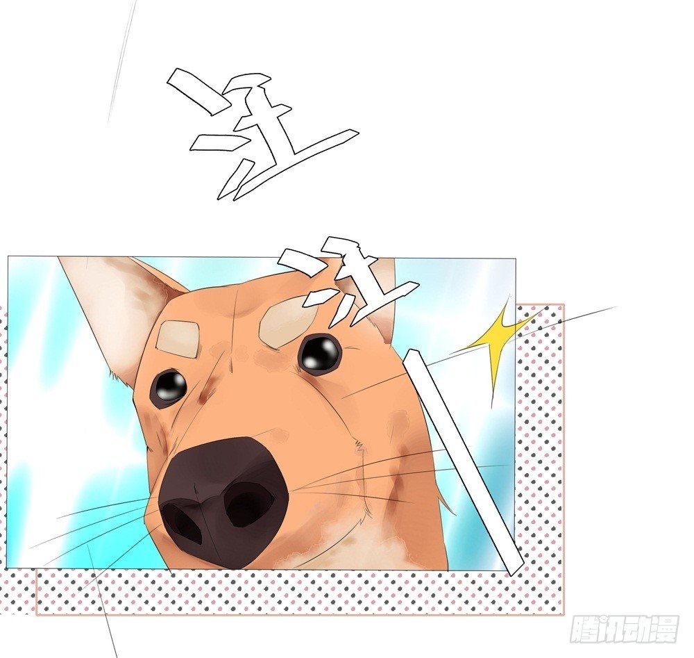 初遇