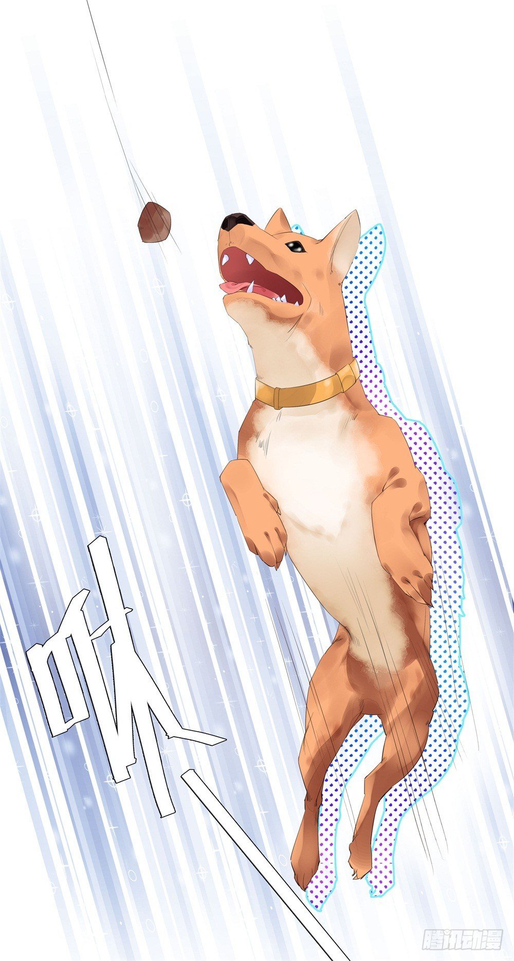 初遇
