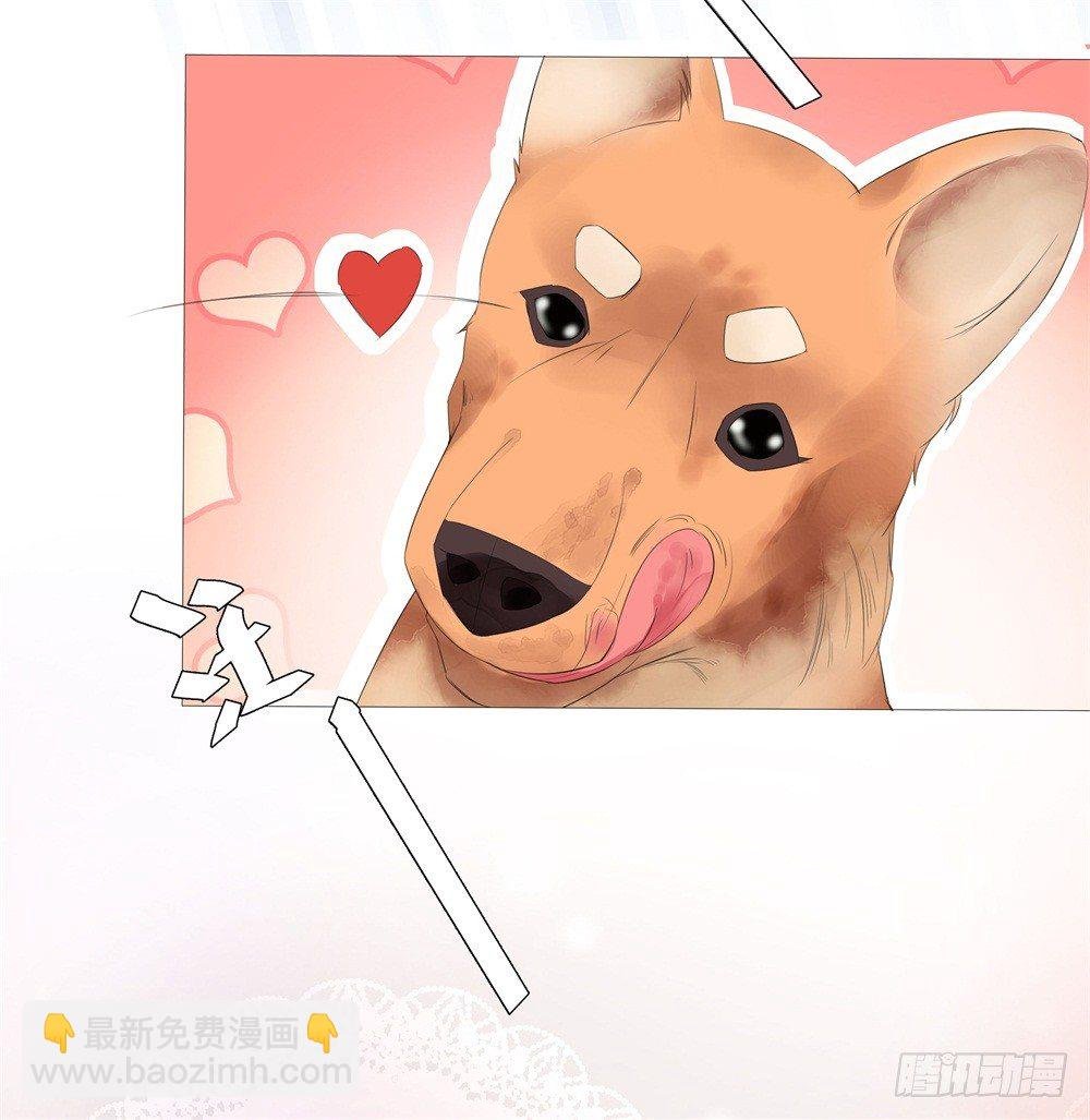 初遇
