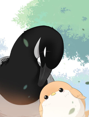 wuliandianfeng-pikapi