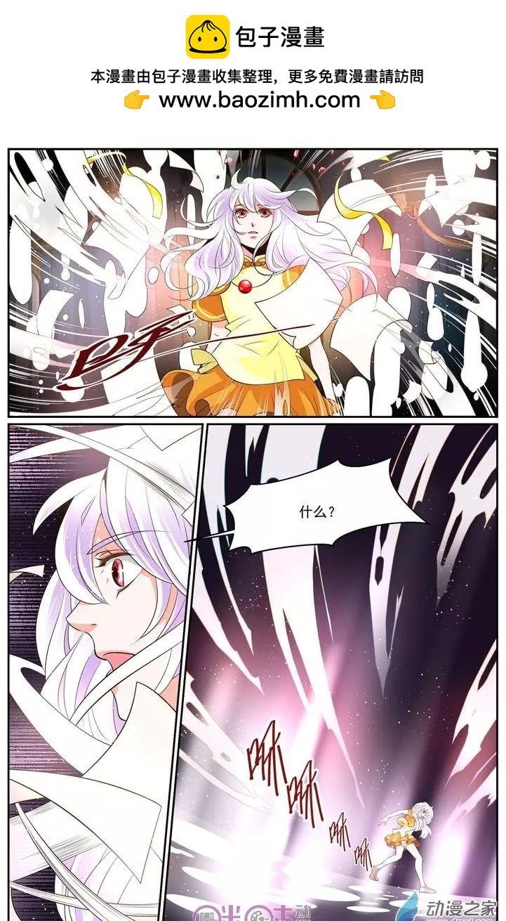 第11回
