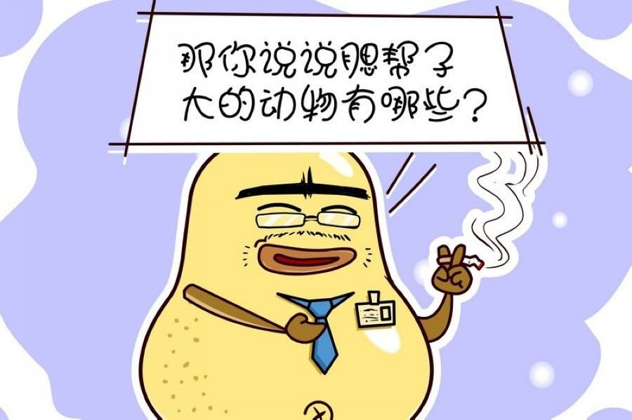蕉老板的幽默 第3集