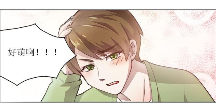 预告