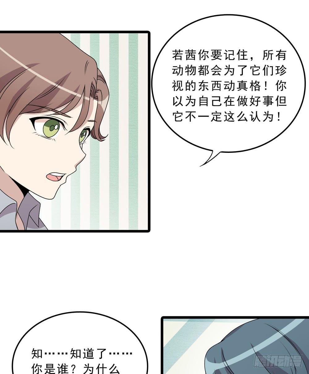 动真格