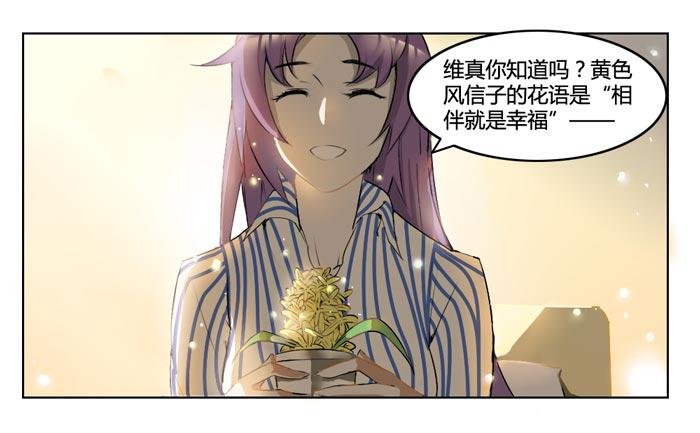 风信子