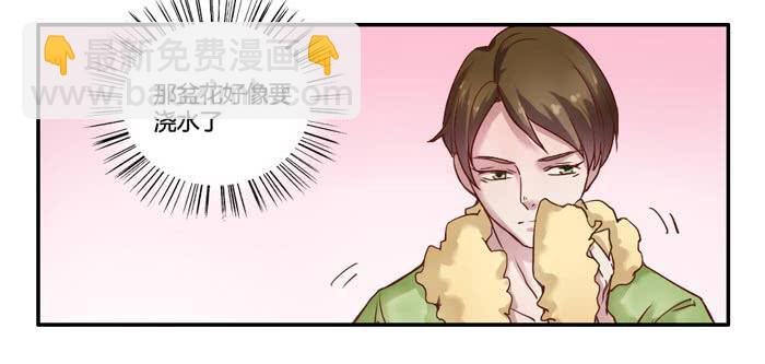 风信子