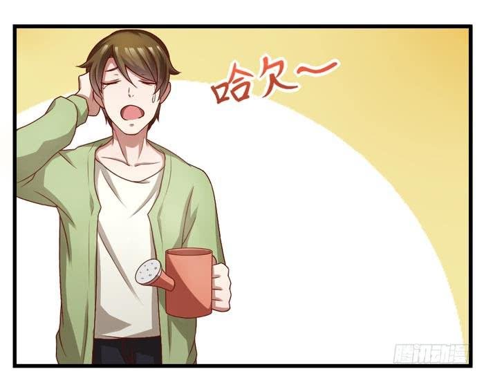 风信子