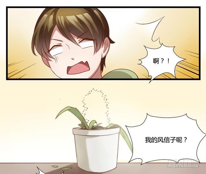 风信子