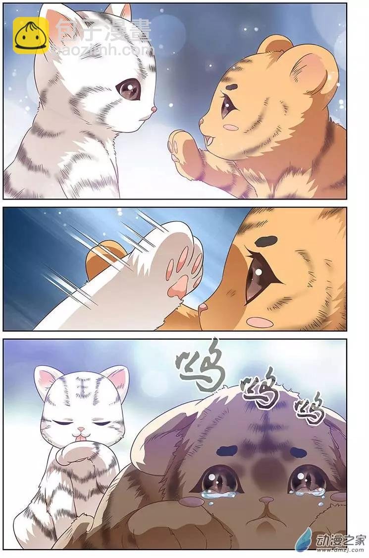 第06回