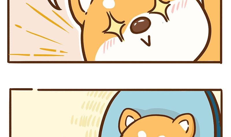 青瓜面膜