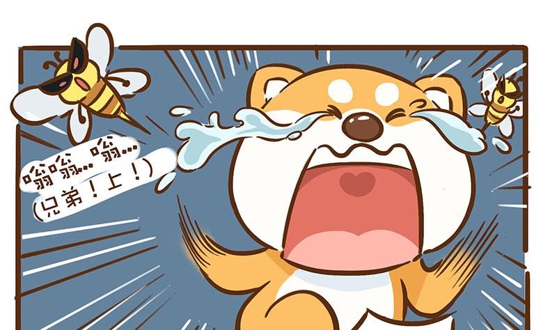 蜜蜂蛋糕