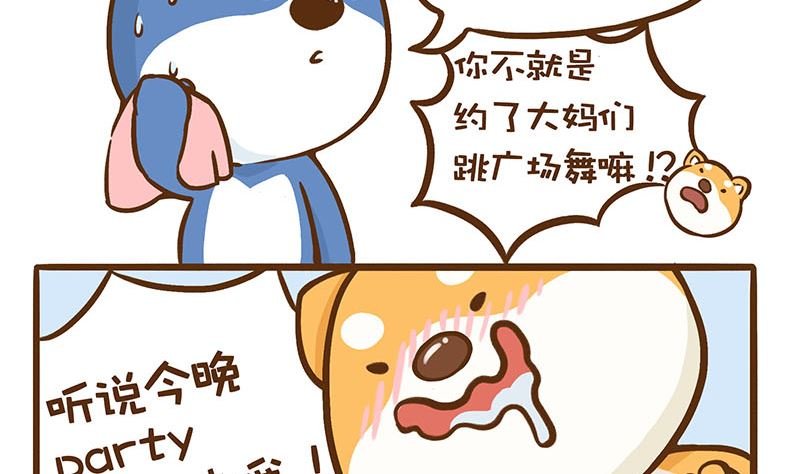 二哈的超级正妹