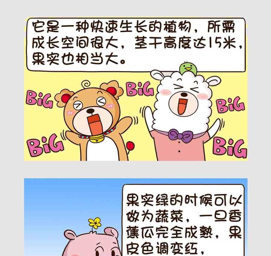 世界吃货篇 第8集