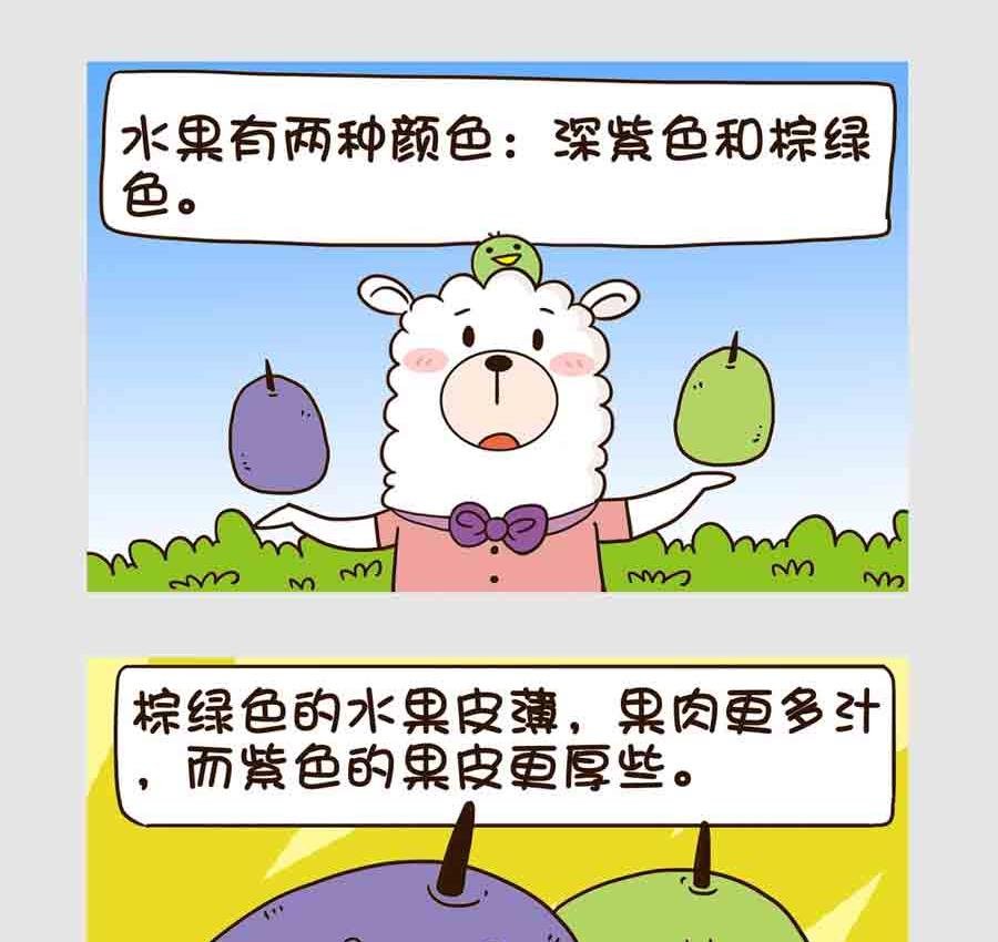 世界吃货篇 第6集