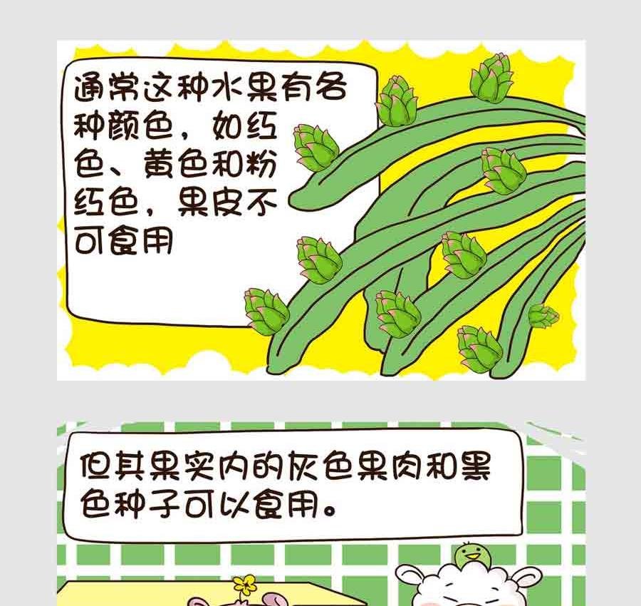 世界吃货篇 第5集