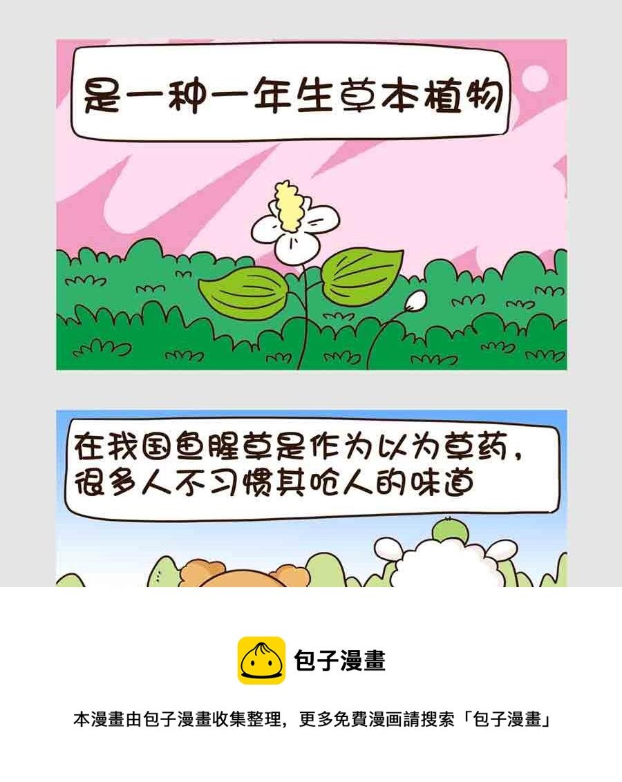 世界吃货篇 第4集