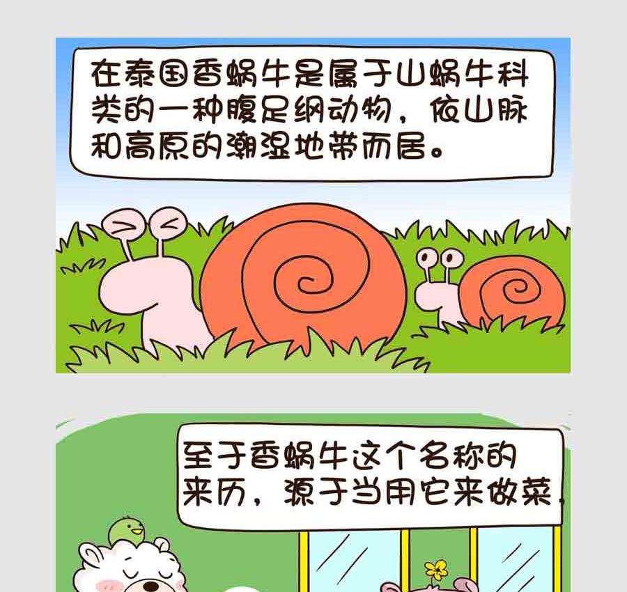 世界吃货篇 第3集