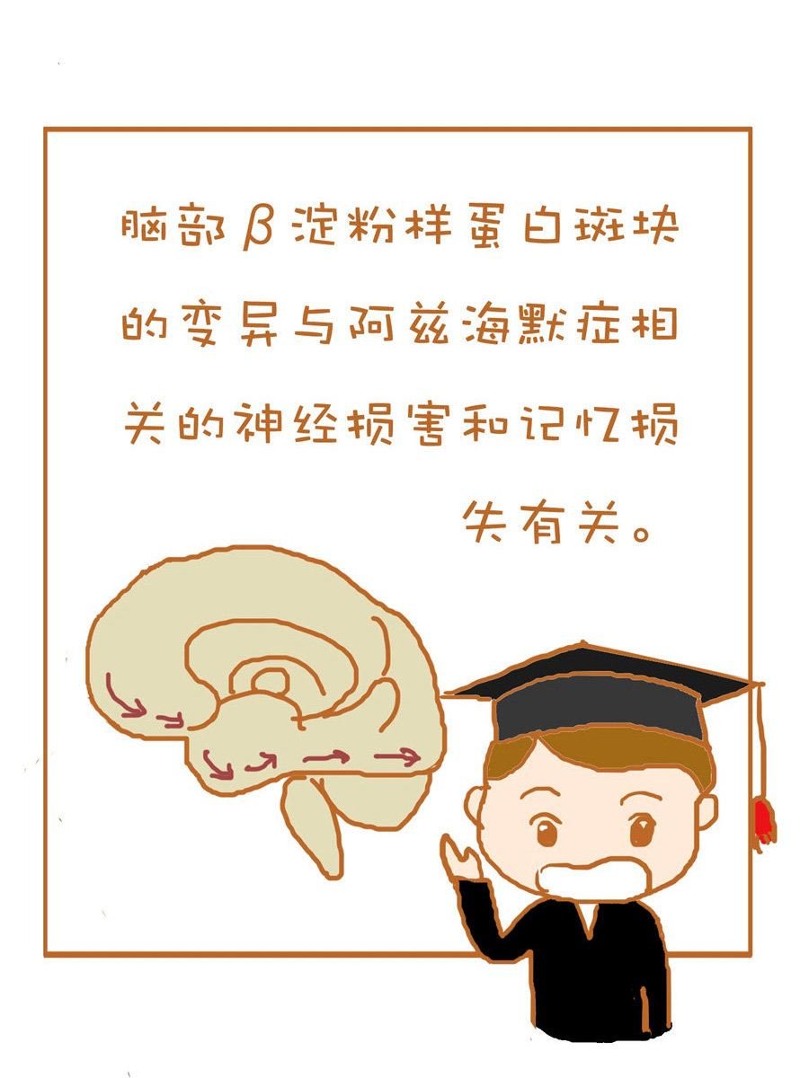 生活小发现 第10集