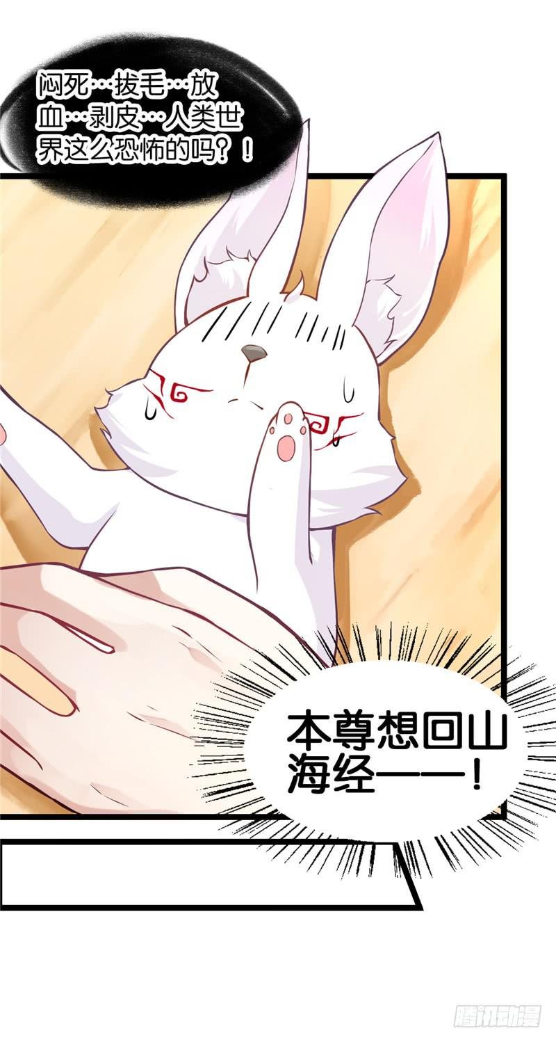 001 神兽落难