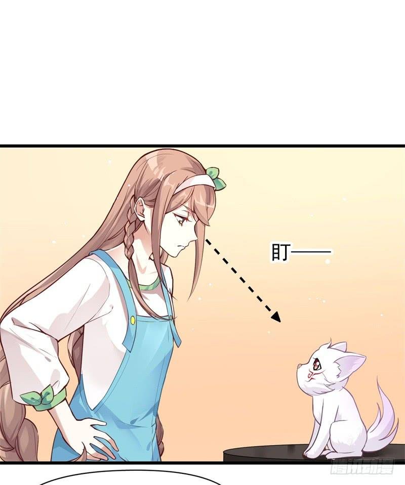 007 墨宝被带走