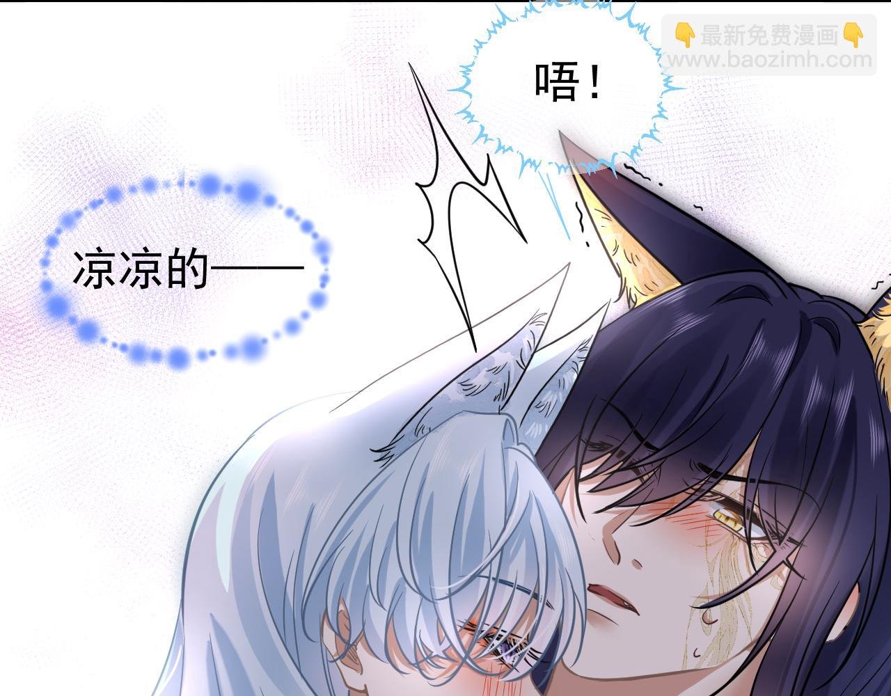 补充番