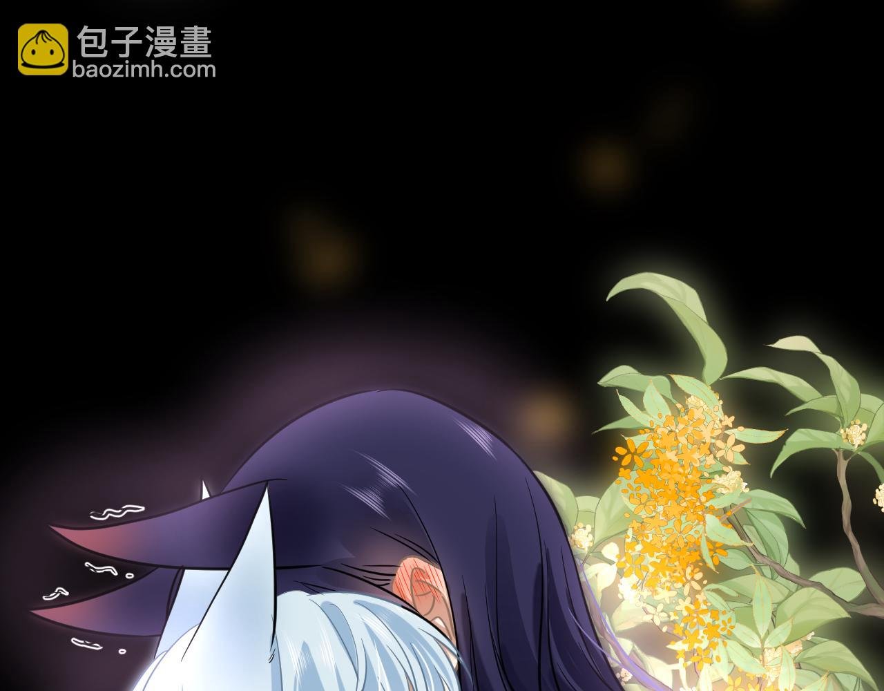补充番
