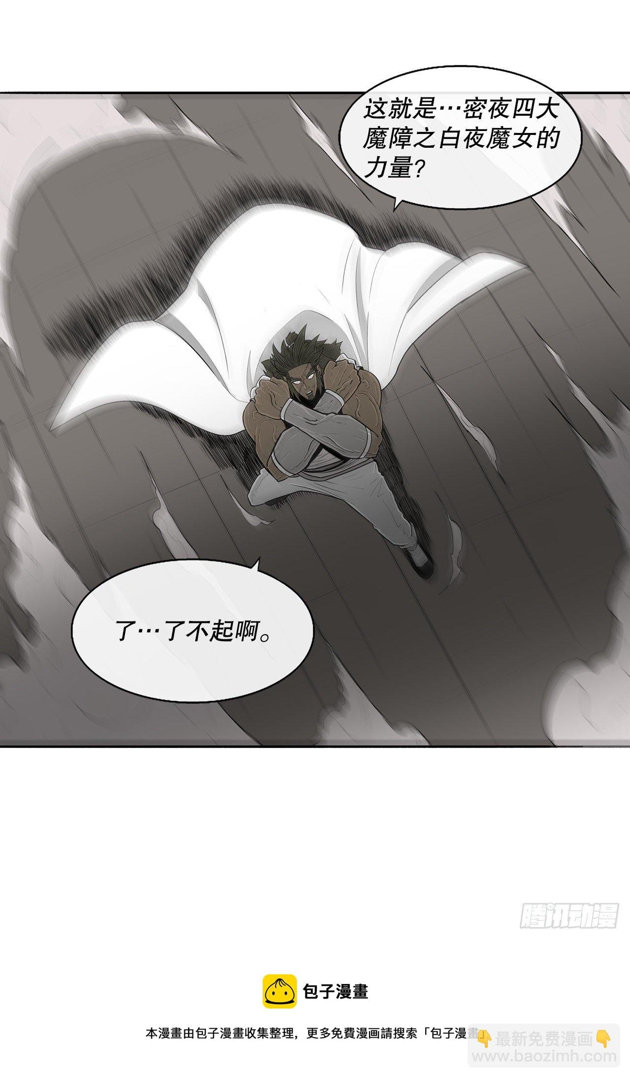 113.白夜魔女?