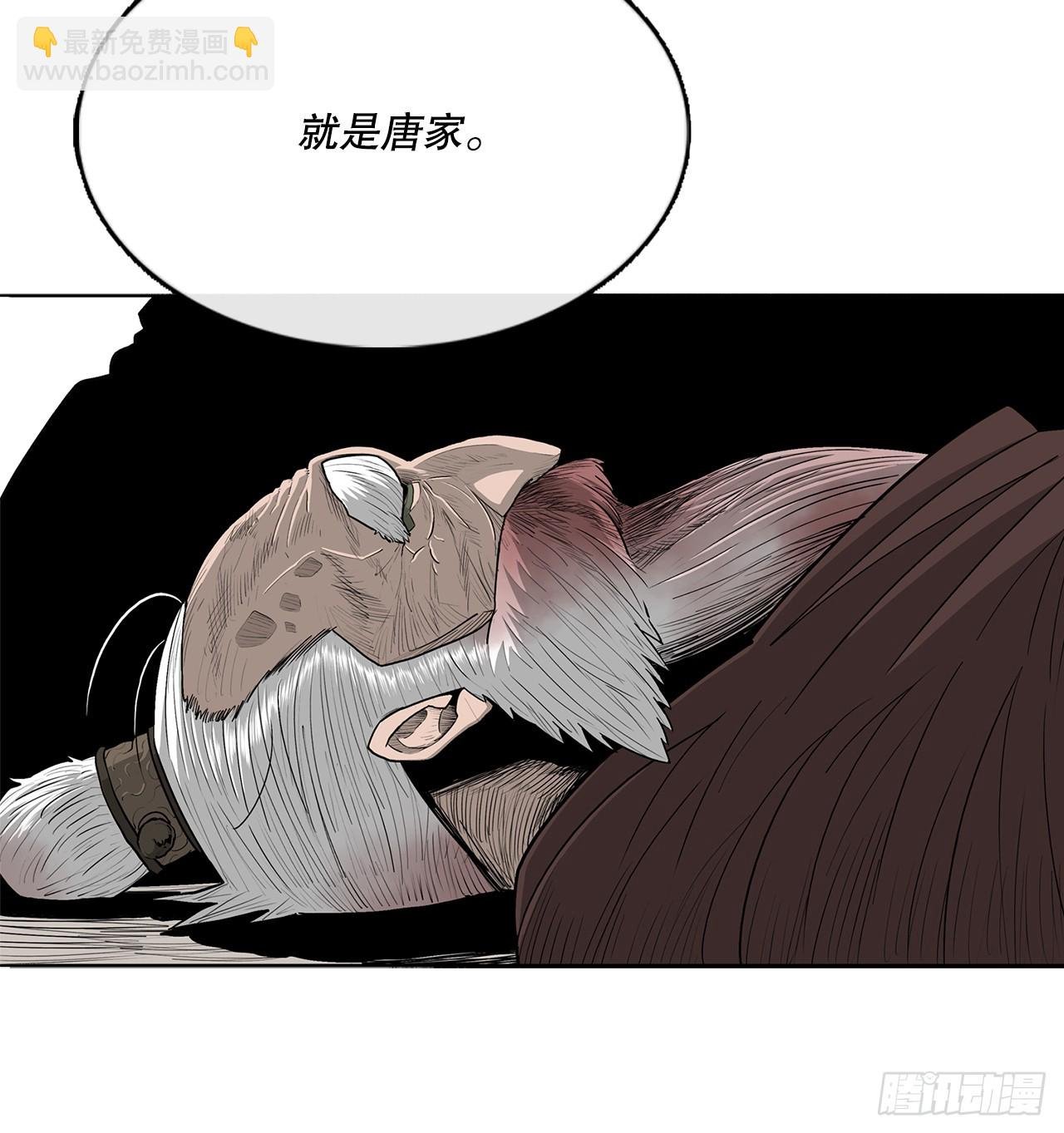 146.保护唐门