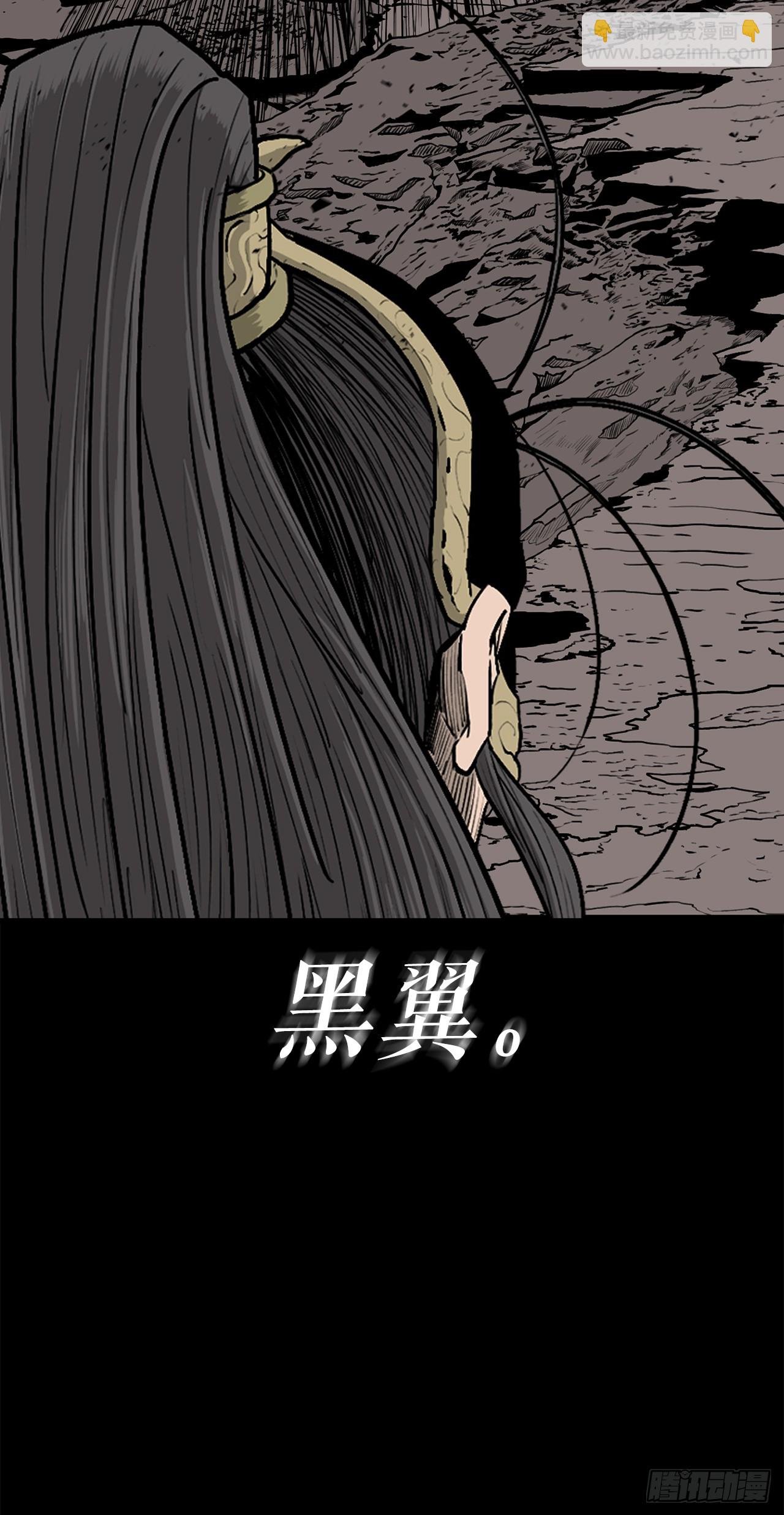 160.黑翼