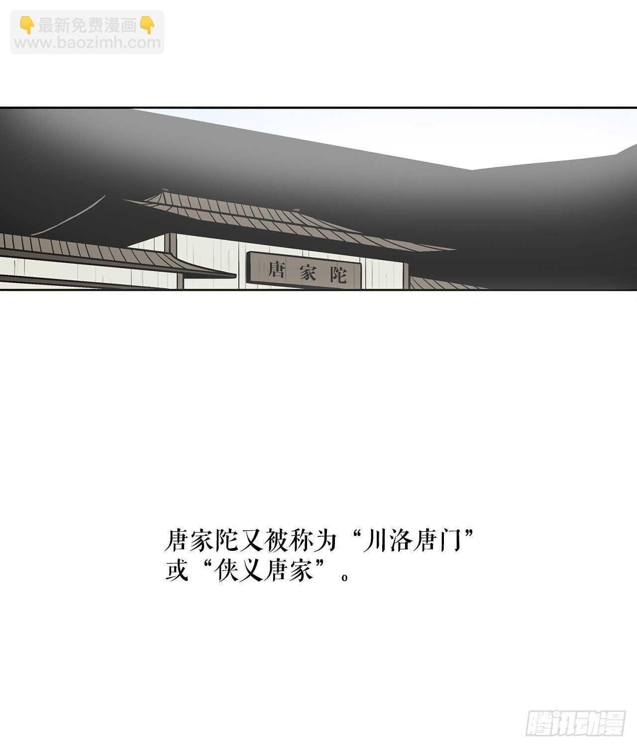 29.唐门遇袭