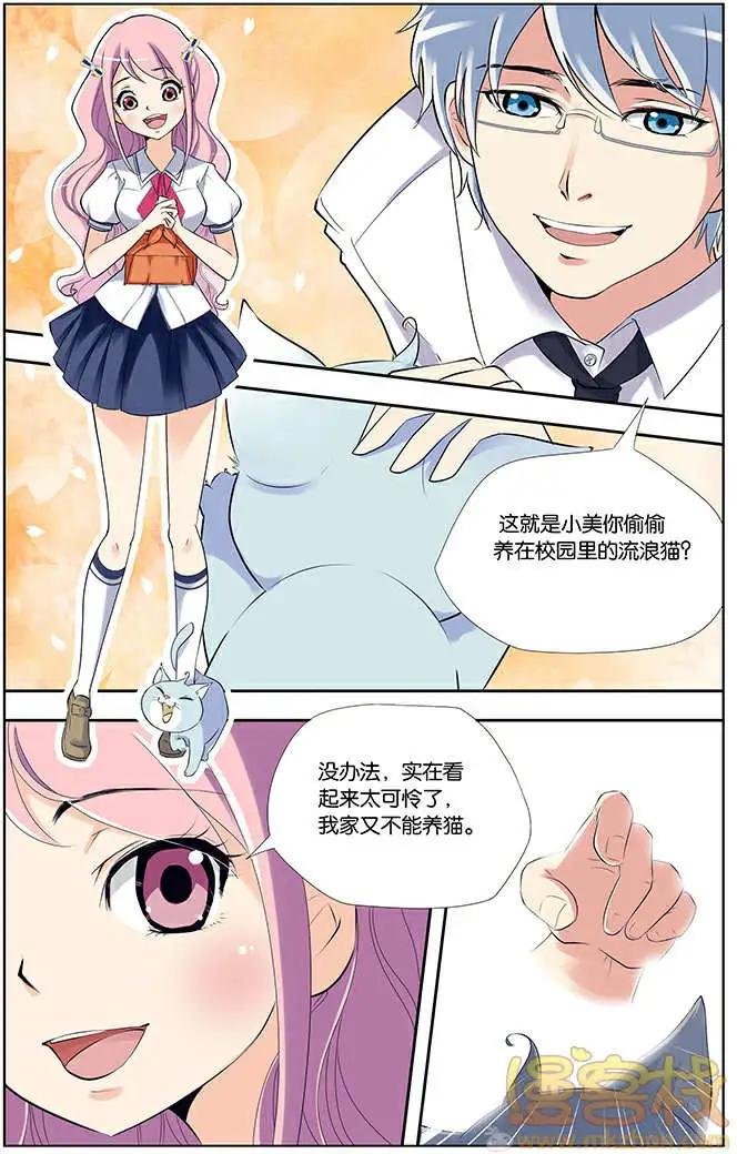 进击的猫咪篇