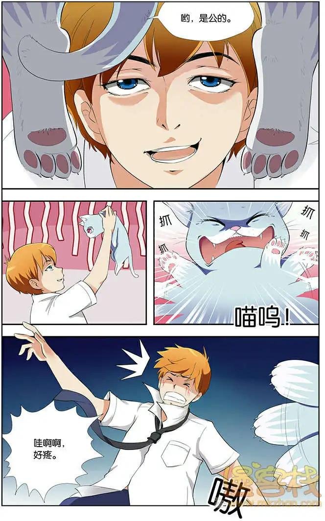 进击的猫咪篇