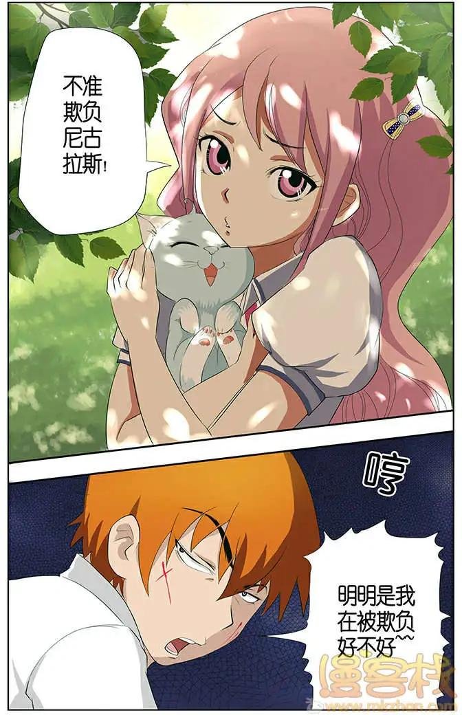 进击的猫咪篇