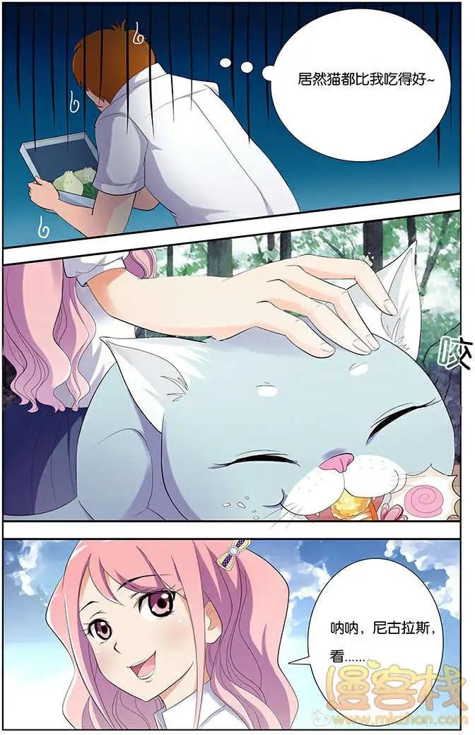 进击的猫咪篇