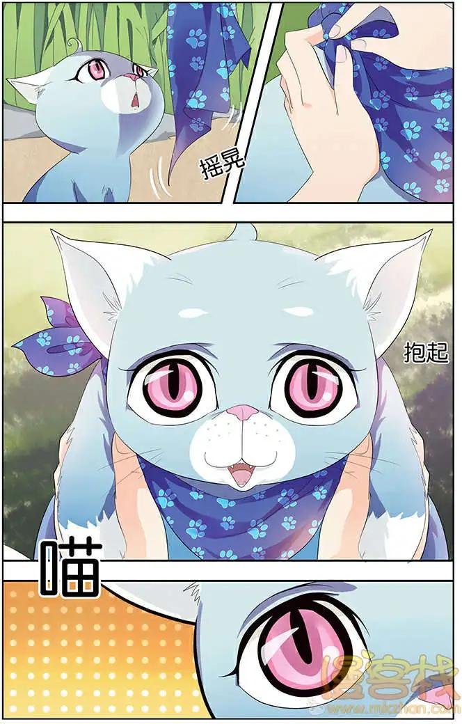 进击的猫咪篇