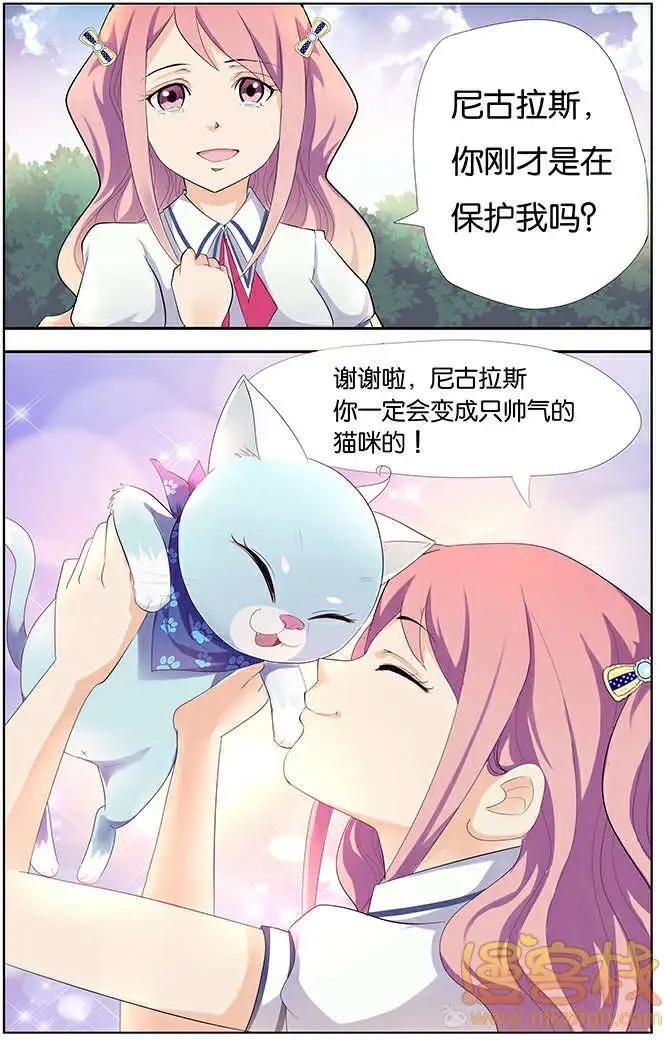 进击的猫咪篇