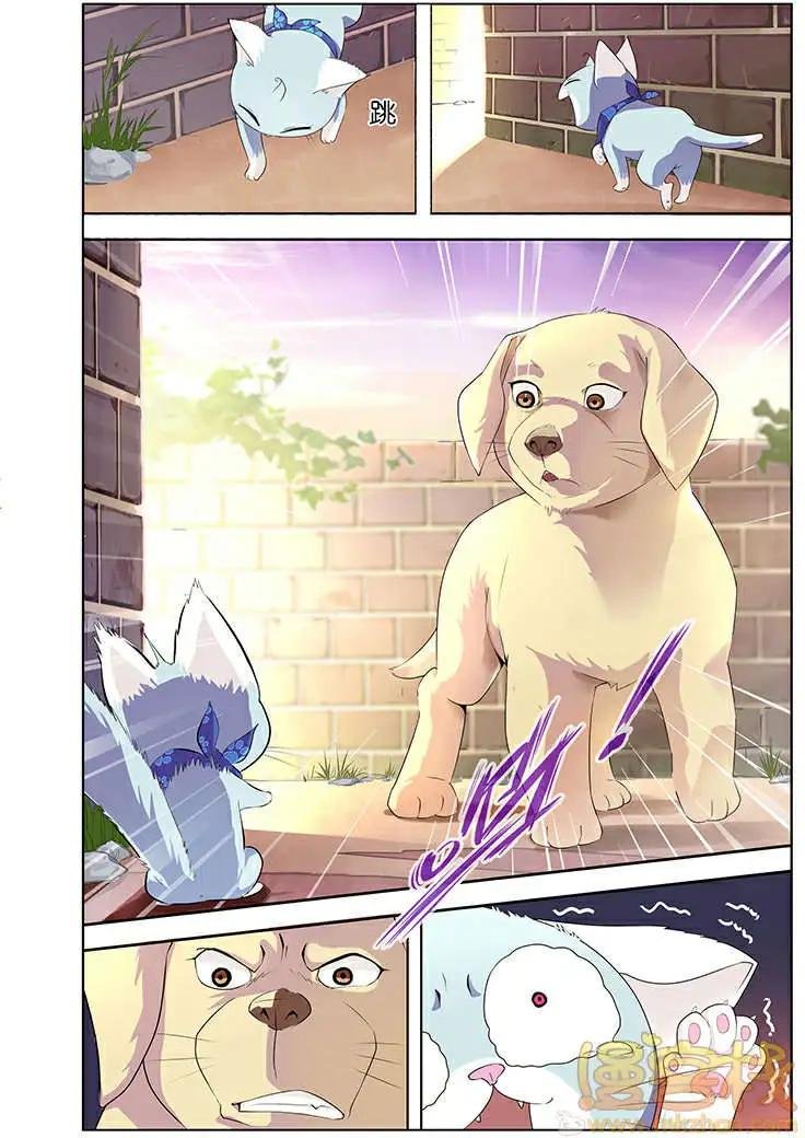 进击的猫咪篇