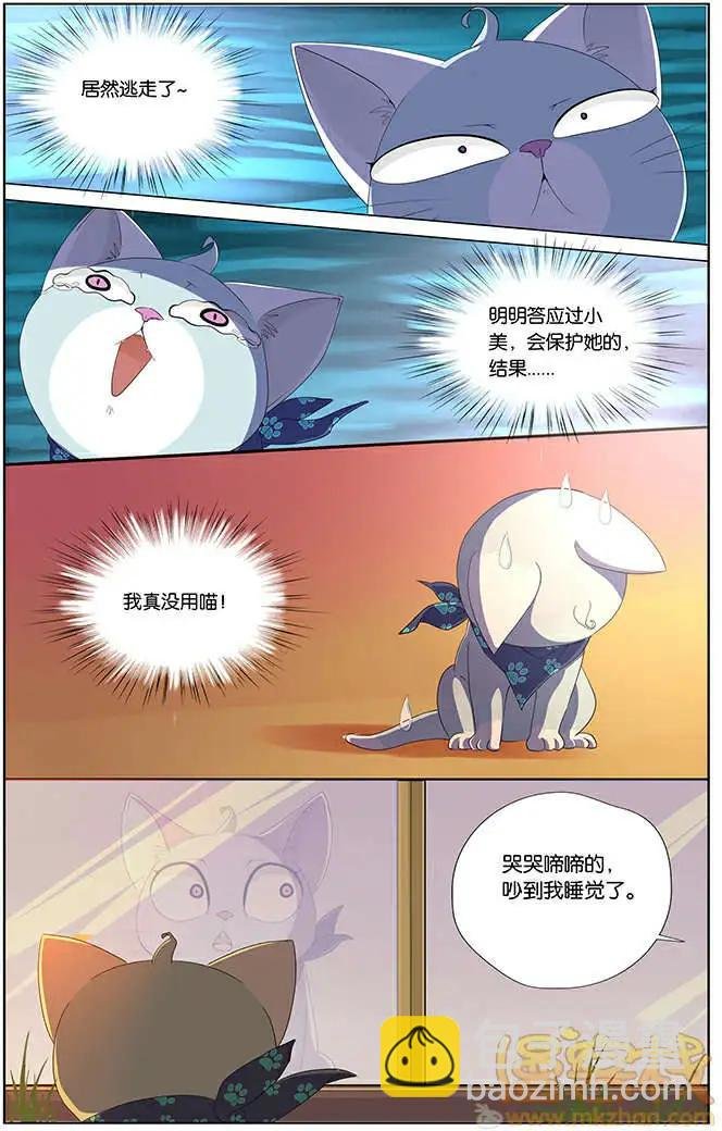 进击的猫咪篇