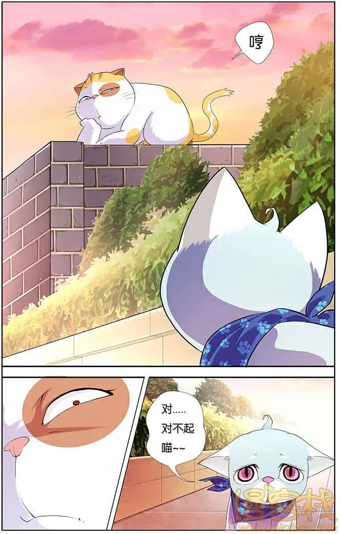 进击的猫咪篇