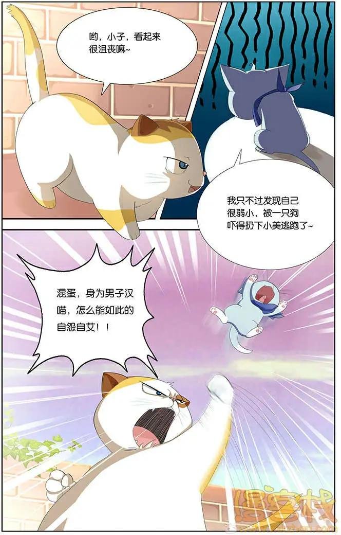 进击的猫咪篇