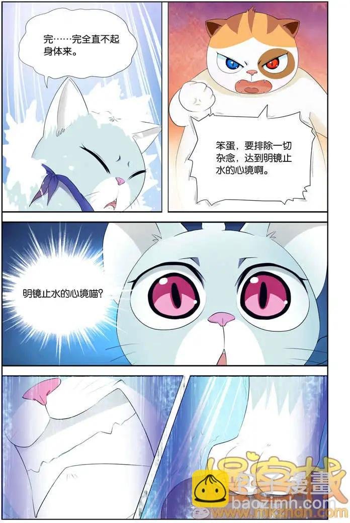 进击的猫咪篇